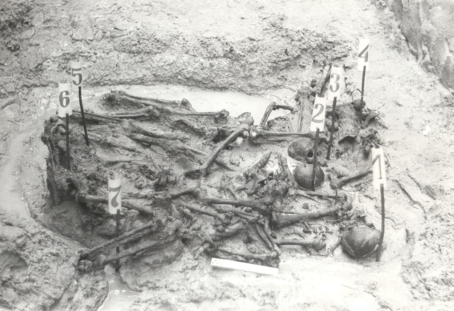 Zbiorowa ogiła odnaleziona podczas ekshumacji w Turzy, 1990r. ( AIPN Rzeszów)
