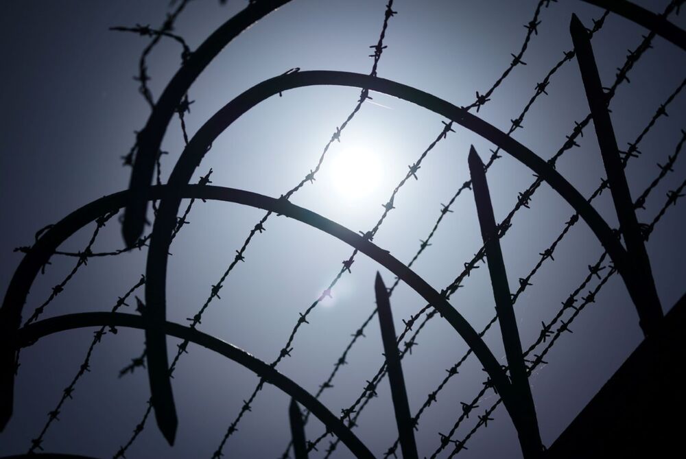 Obchody upamiętniające 84. rocznicę egzekucji więźniów Pawiaka w Palmirach – 21 czerwca 2024. Fot. Mateusz Niegowski (IPN)