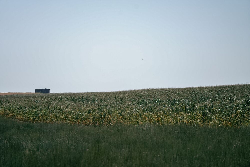 Sielec (Ukraina), 13 lipca 2024. Fot. Mateusz Niegowski (IPN)