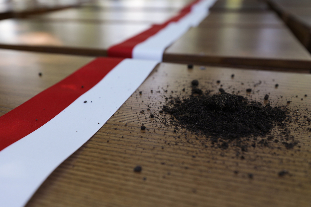 Państwowy pogrzeb ofiar niemieckich zbrodni – Chojnice, 2 września 2024. Fot. Mikołaj Bujak (IPN)