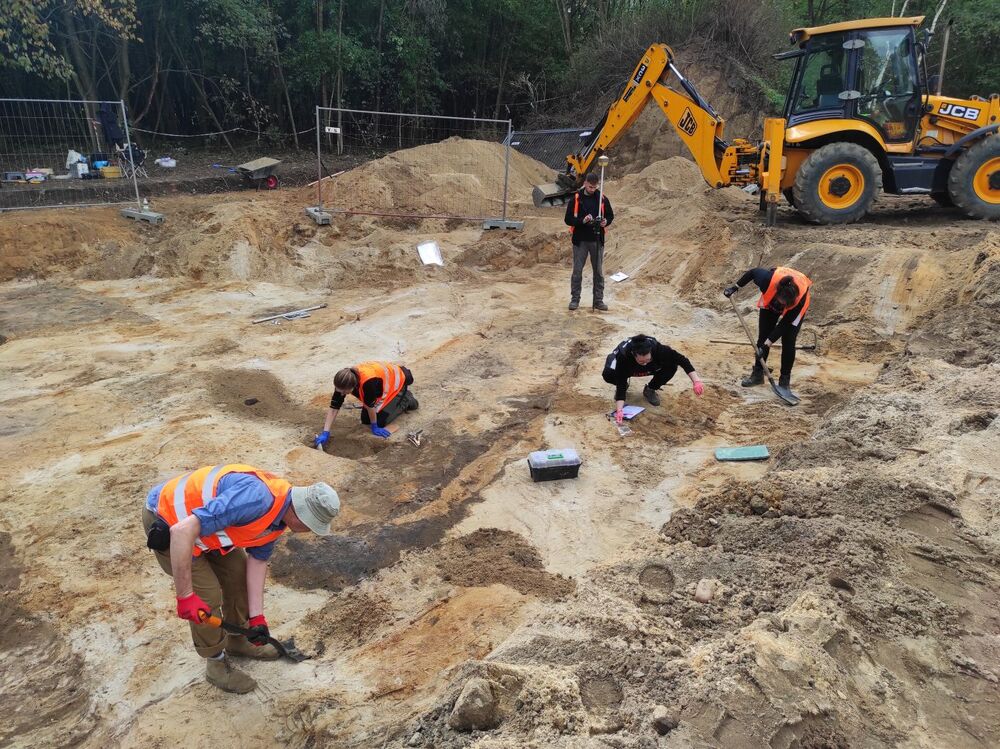 Prace poszukiwawcze IPN na dawnym poligonie wojskowym Brus w Łodzi – wrzesień 2024. Fot. BPiI IPN