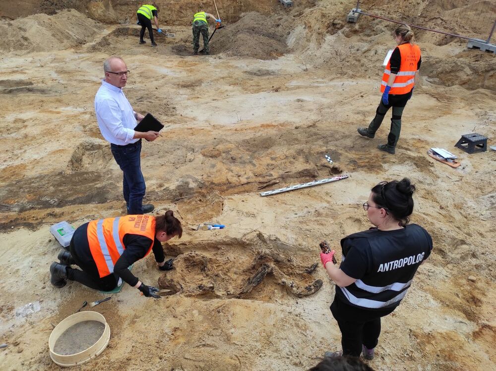 Prace poszukiwawcze IPN na dawnym poligonie wojskowym Brus w Łodzi – wrzesień 2024. Fot. BPiI IPN