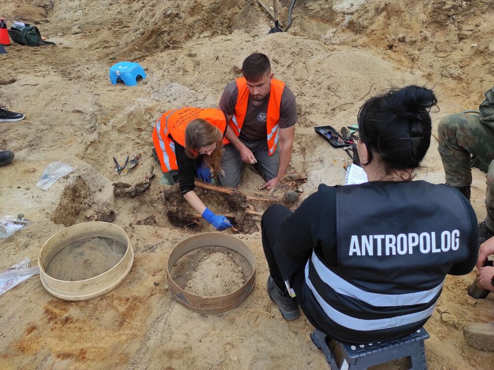 Prace poszukiwawcze IPN na dawnym poligonie wojskowym Brus w Łodzi – wrzesień 2024. Fot. BPiI IPN