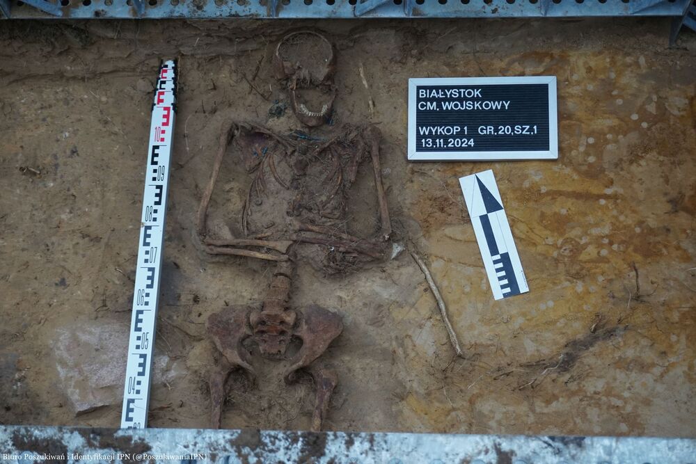 Prace poszukiwawcze IPN na terenie cmentarza wojskowego przy ul. 11 listopada w Białymstoku – 12–15 listopada 2024. Fot. BPiI IPN