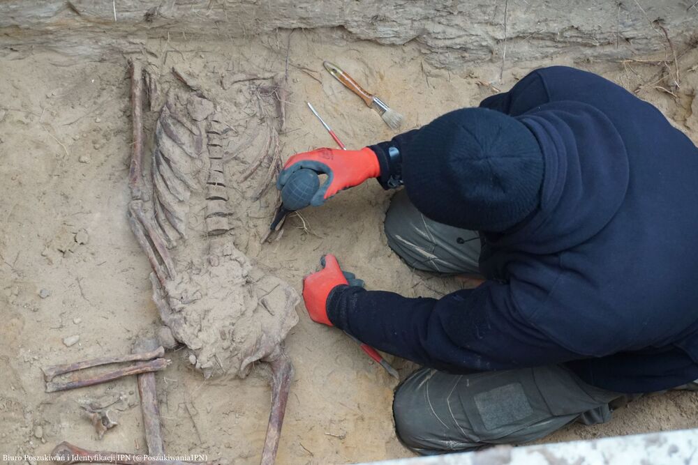 Prace poszukiwawcze IPN na terenie cmentarza wojskowego przy ul. 11 listopada w Białymstoku – 12–15 listopada 2024. Fot. BPiI IPN