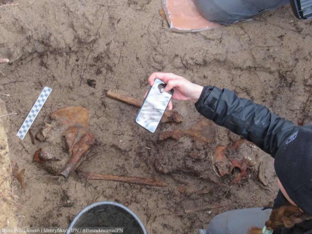 Zespół Biura Poszukiwań i Identyfikacji IPN przeprowadził prace na Cmentarzu Osobowickim we Wrocławiu – 13–15 listopada 2024. Fot. BPiI IPN