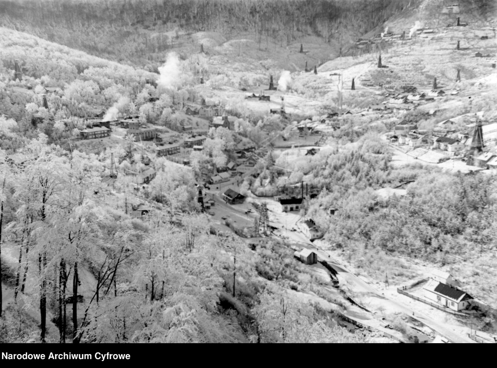 Bitków. Widok ogólny wsi w zimie. Fot. Narodowe Archiwum Cyfrowe