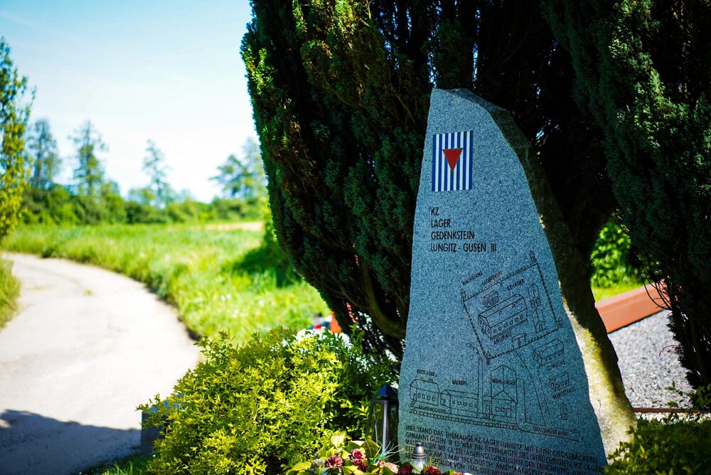 Obchody 80. rocznicy wyzwolenia obozu koncentracyjnego Mauthausen-Gusen – Lungitz, 10 maja 2025. Fot. Mateusz Niegowski (IPN)