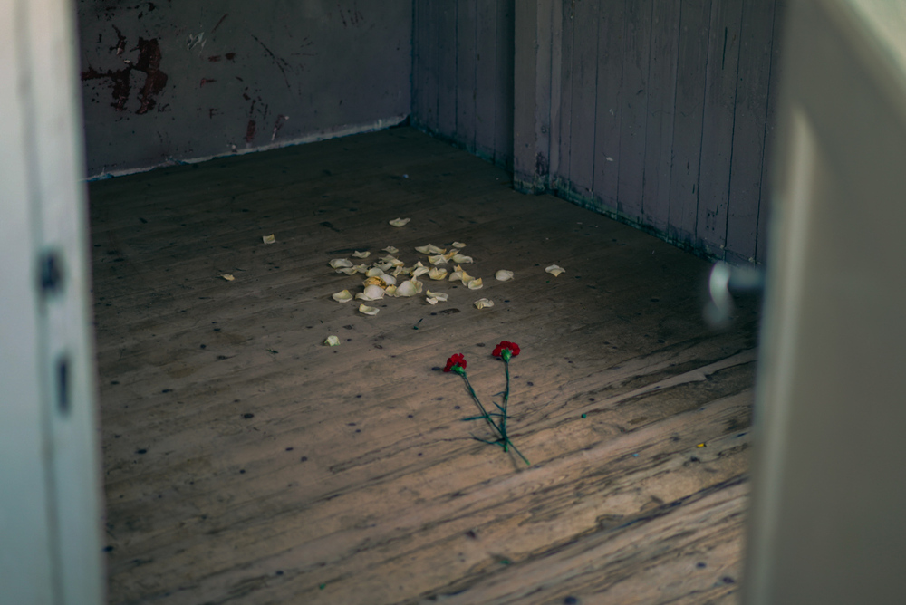 Obchody 80. rocznicy wyzwolenia obozu koncentracyjnego Mauthausen-Gusen – 11 maja 2025. Fot. Mateusz Niegowski (IPN)