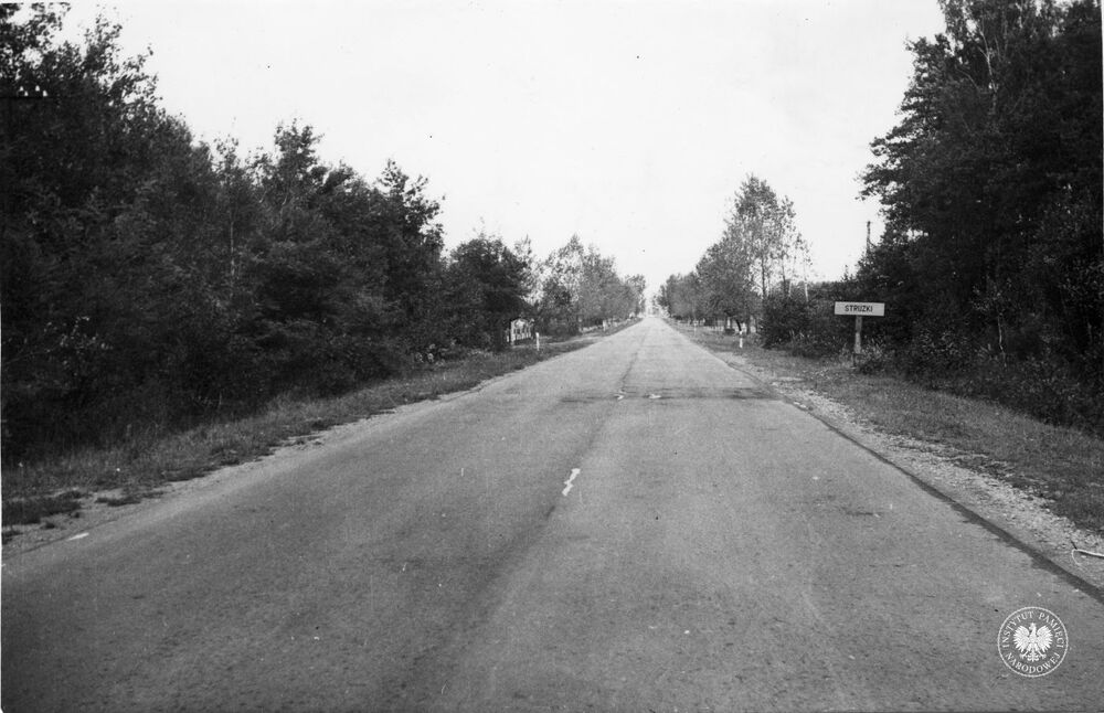 Ogólny widok drogi od strony Połańca w kierunku Strużek. Fot. AIPN