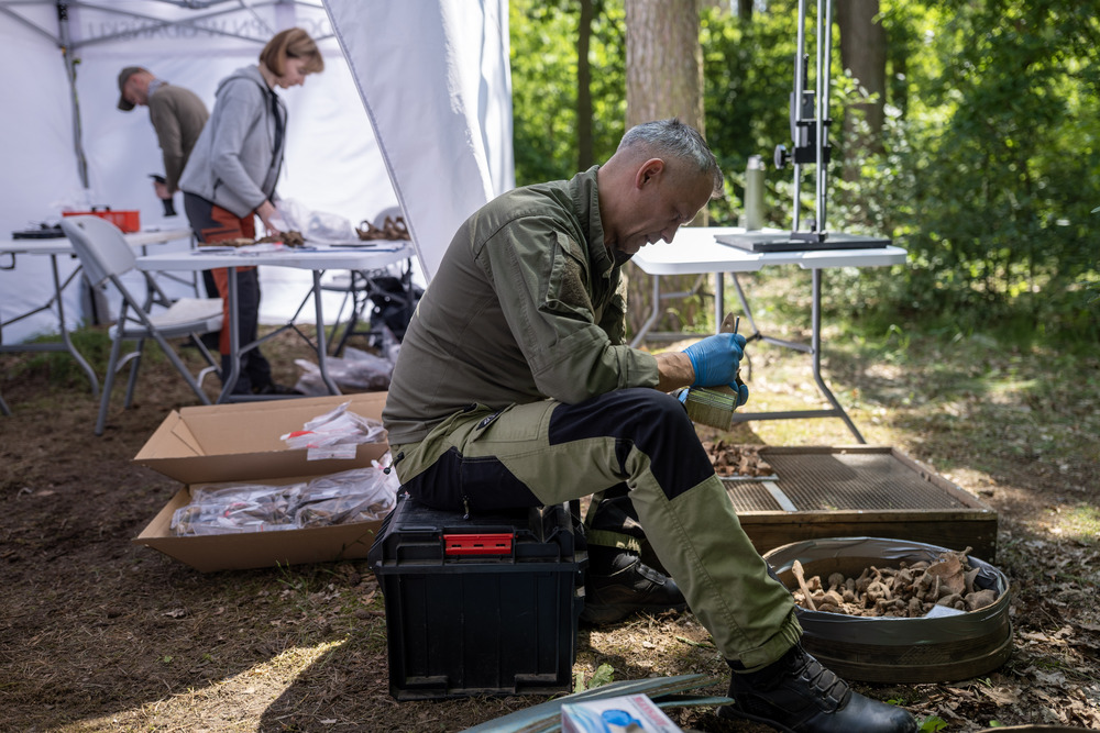 Prace poszukiwawcze ofiar Zbrodni Pomorskiej prowadzone przez pion śledczy IPN nad Jeziorem Borówno, czerwiec 2025, fot. Daniel Frymark