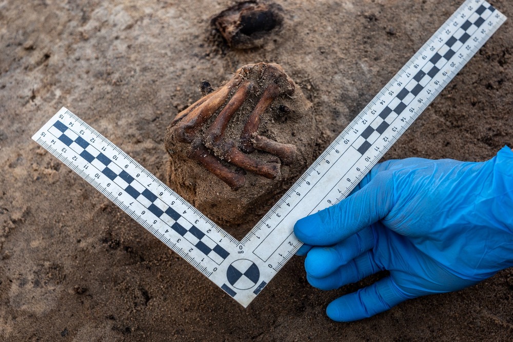 Prace poszukiwawcze ofiar Zbrodni Pomorskiej prowadzone przez pion śledczy IPN nad Jeziorem Borówno, czerwiec 2025, fot. Daniel Frymark