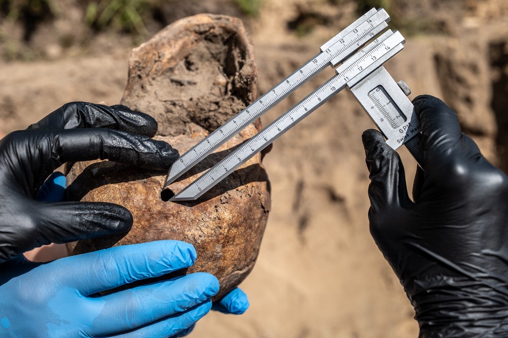 Prace poszukiwawcze ofiar Zbrodni Pomorskiej prowadzone przez pion śledczy IPN nad Jeziorem Borówno, czerwiec 2025, fot. Daniel Frymark