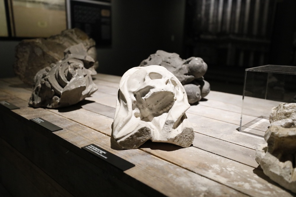 Wernisaż wystawy „Zamordowane miasto. Reliefy Marii Hiszpańskiej-Neumann” – Warszawa, 4 sierpnia 2025 r. Fot. Krzysztof Kapłon (IPN)