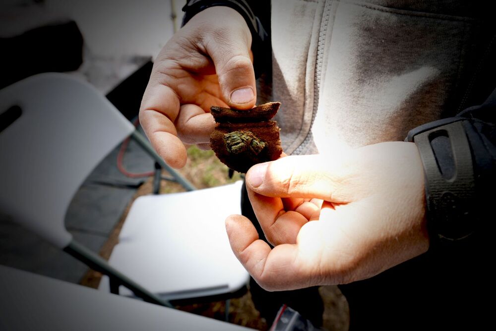 Prace Instytutu Pamięci Narodowej we Lwowie-Zboiskach na Ukrainie – 4–30 sierpnia 2025. Fot. BPiI IPN