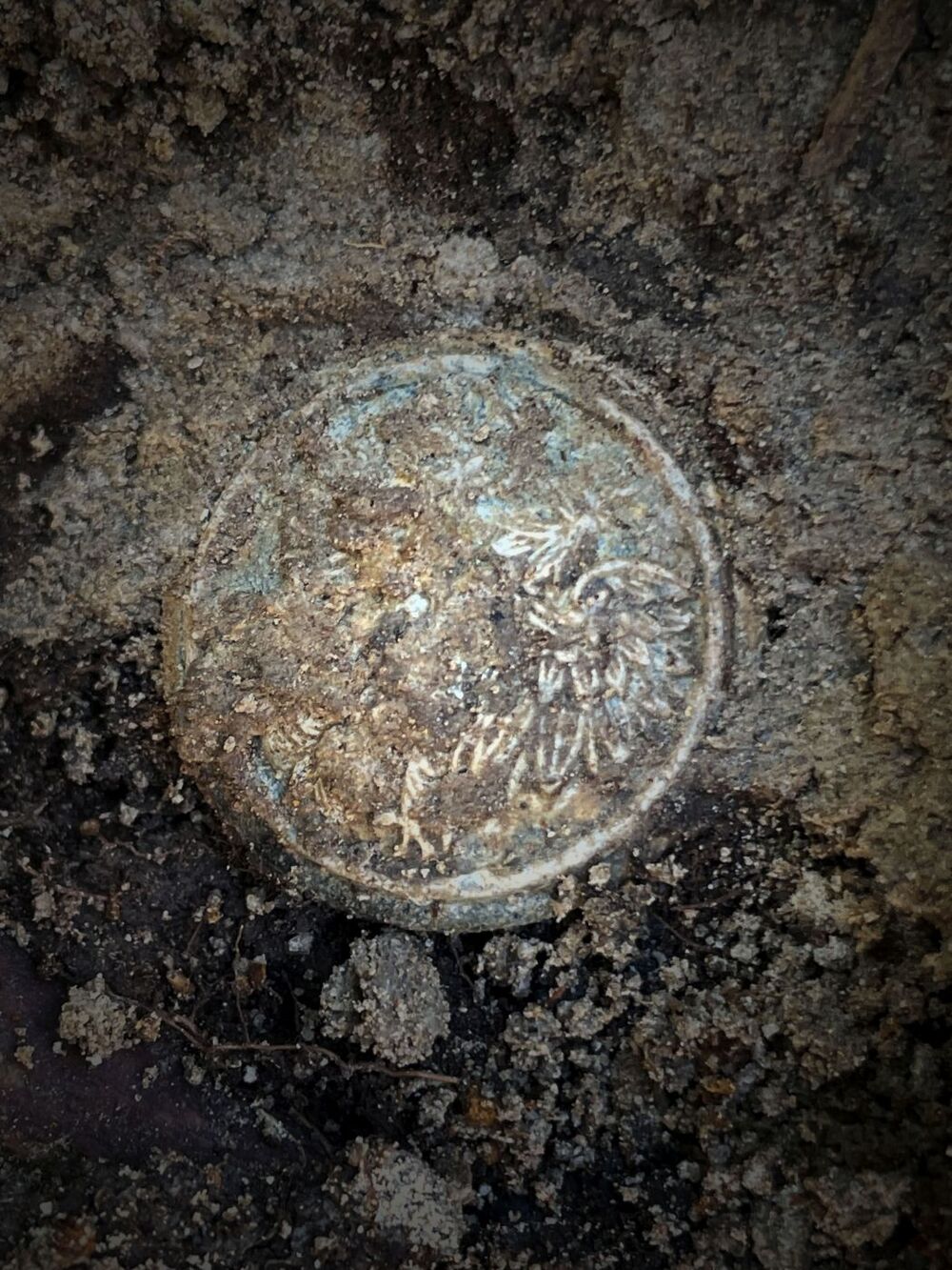 Prace Instytutu Pamięci Narodowej we Lwowie-Zboiskach na Ukrainie – 4–30 sierpnia 2025. Fot. BPiI IPN