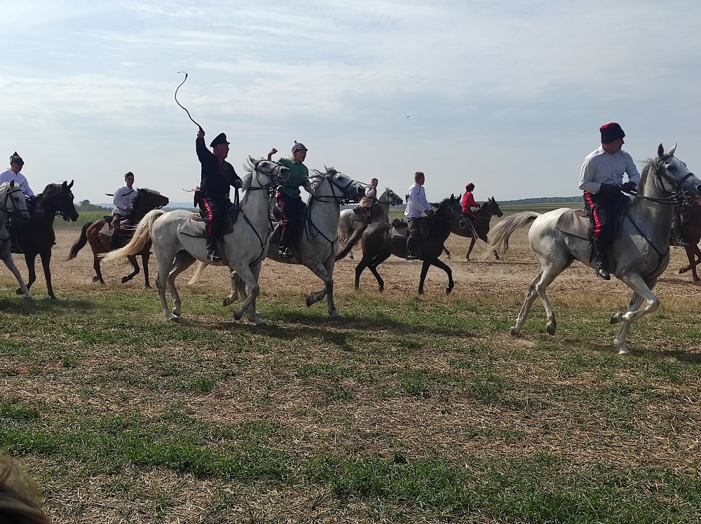 Uroczyste obchody 105. rocznicy bitwy pod Komarowem – 30-31 sierpnia 2025. Fot. Mateusz Marek (IPN)