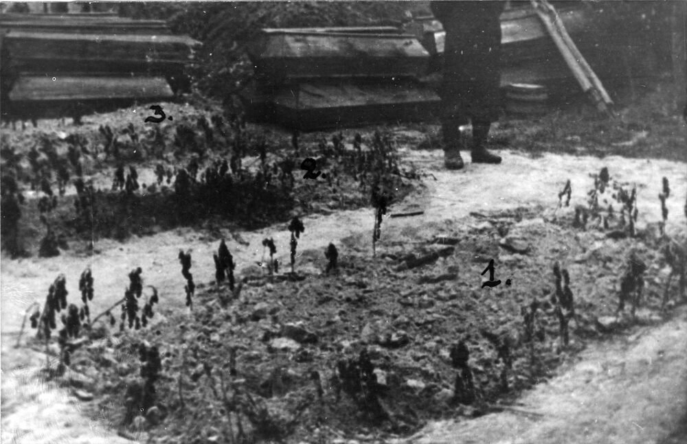 Ekshumacja ofiar hitlerowskich rozstrzelanych w styczniu 1945 r. w Żabikowie. Fot. AIPN