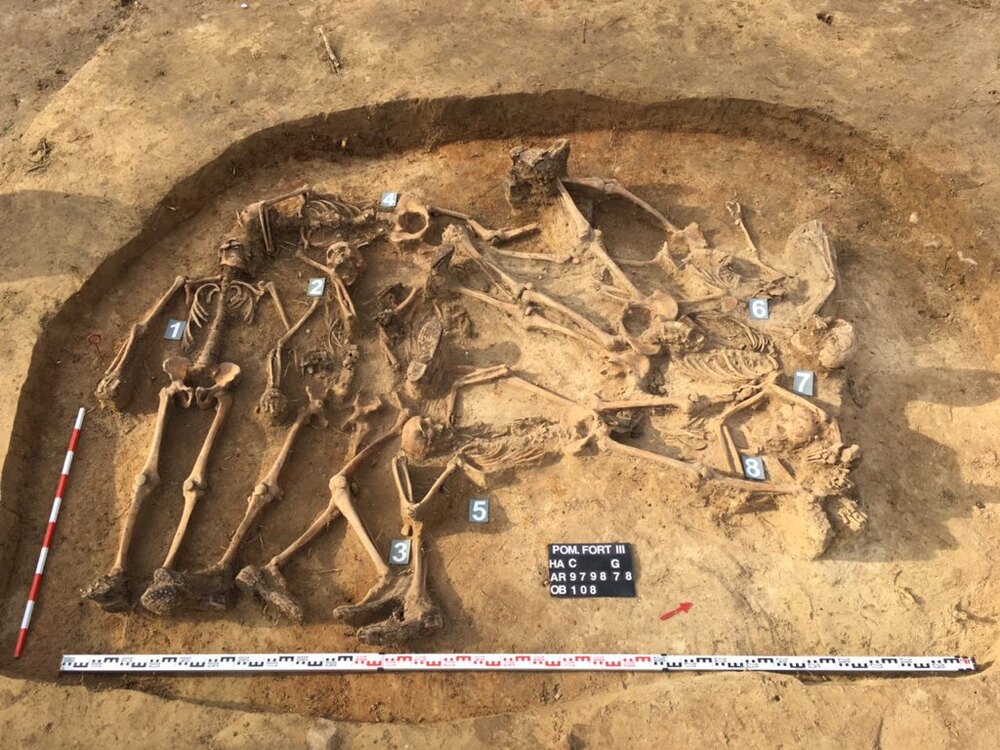 Fot. Szczątki 8 żołnierzy Wojska Polskiego poległych w obronie Fortu III we wrześniu 1939. Pogrzebani po zajęciu fortu przez Niemców w płytkim dole na środku prawego dziedzińca