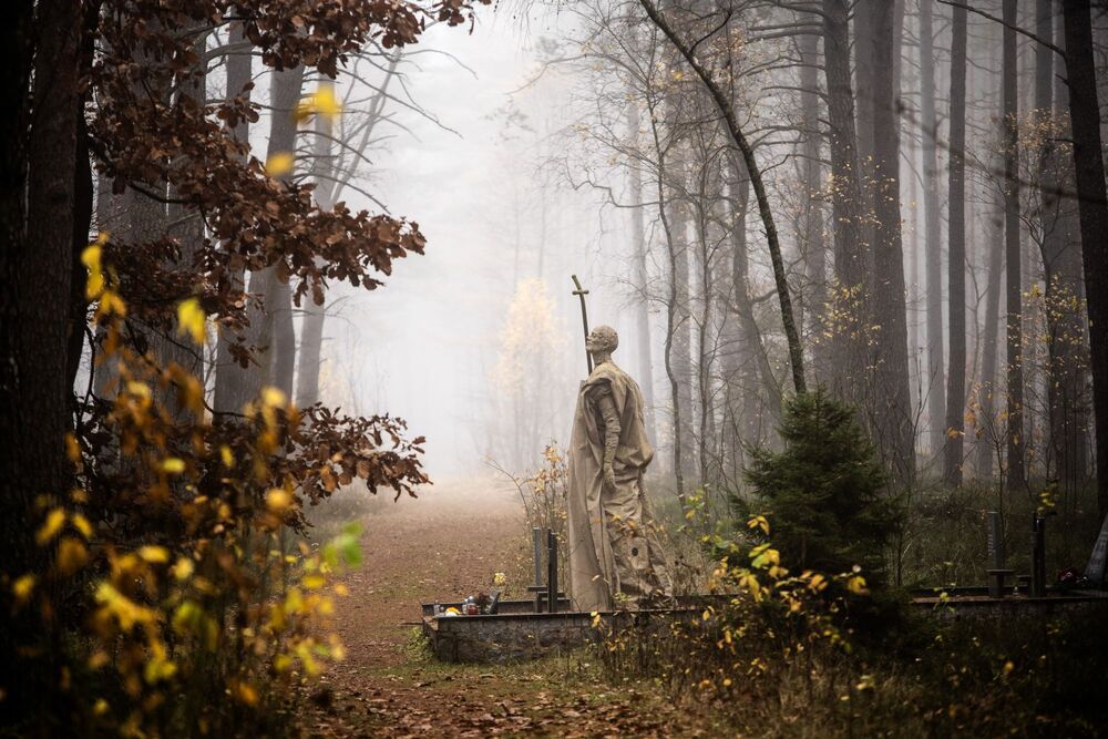 Prace archeologiczne IPN w Lesie Piaśnickim. Fot. IPN Gdańsk