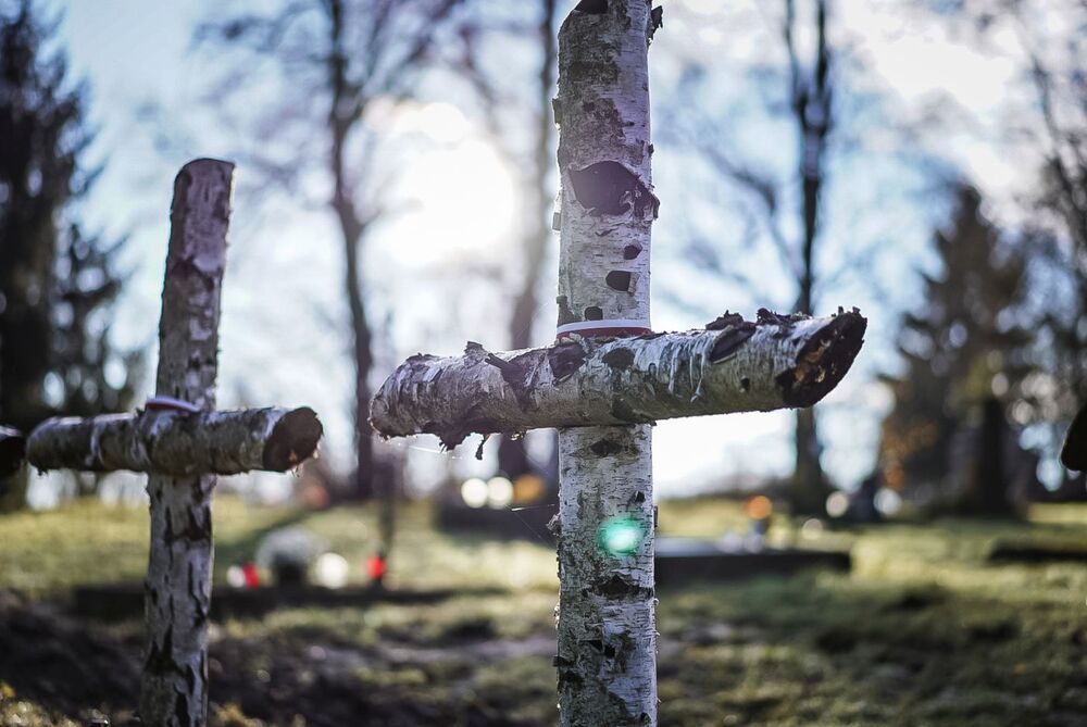 Pogrzeb żołnierzy Wojska Polskiego w Mościskach – 14 listopada 2025. Fot. Mateusz Niegowski (IPN)