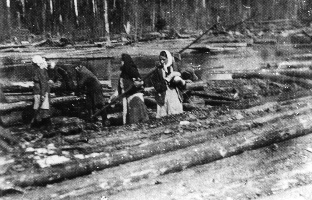 Grupa Polaków deportowanych do ZSRS, podczas pracy przy spławianiu drewna na rzece Sisoła (Sysoła). Fot. AIPN