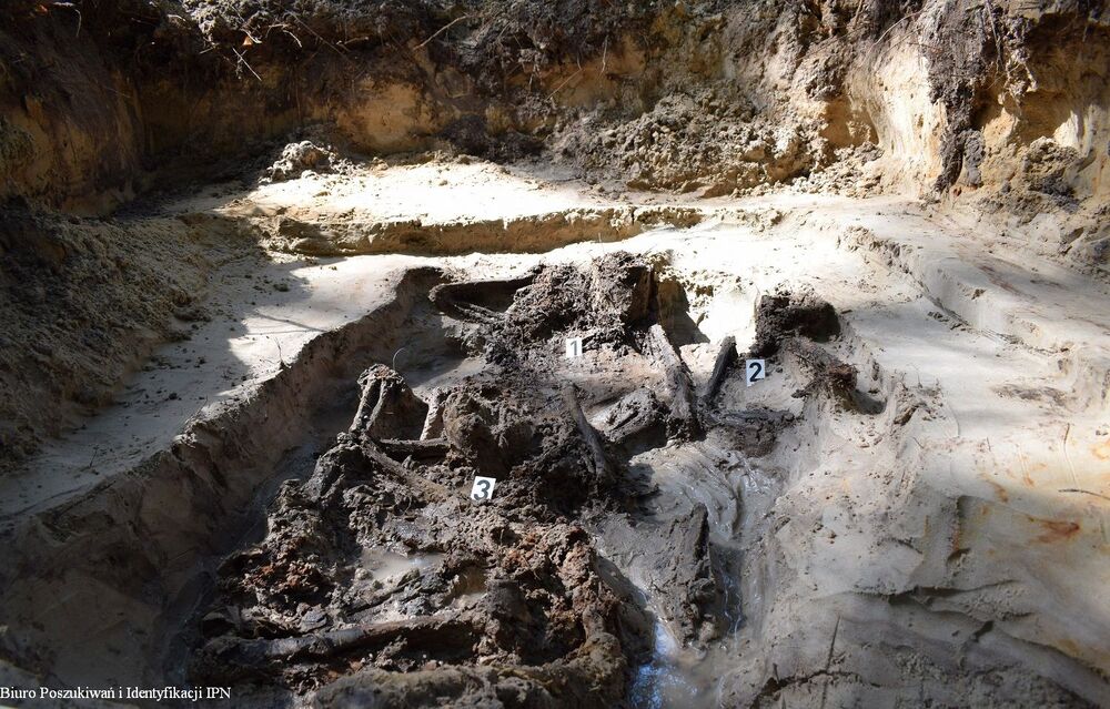 Prace poszukiwawcze Biura Poszukiwań i Identyfikacji IPN na terenie Nowego Nartu – 29 maja – 2 czerwca 2023. Fot. IPN