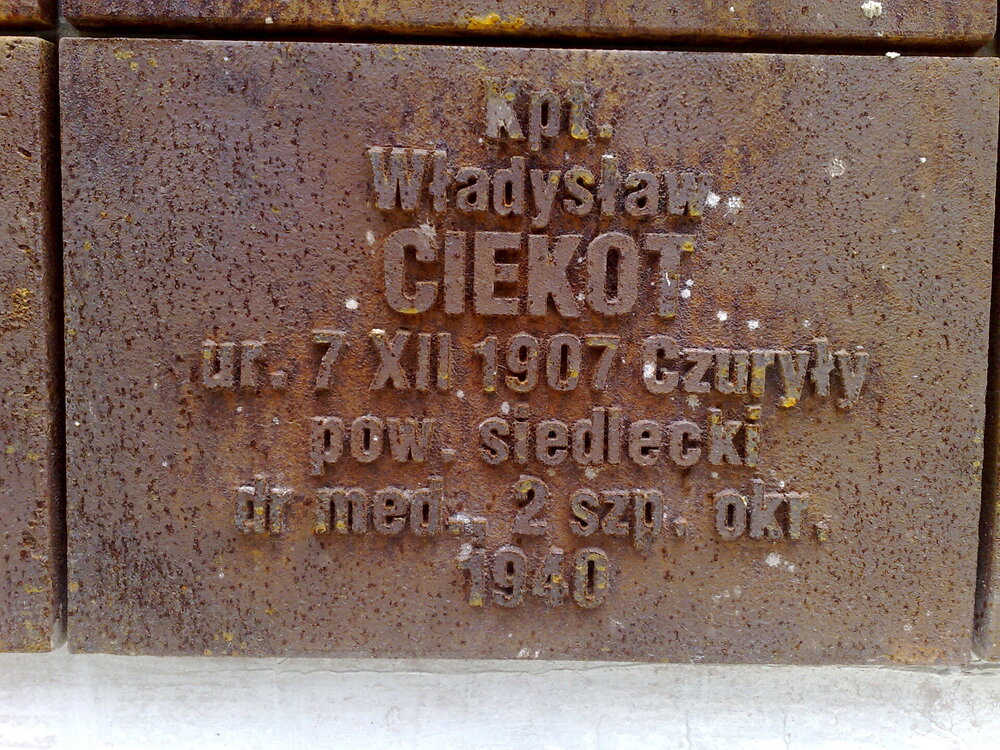 Tabliczka upamiętniająca Władysława Ciekota w Katynia. Fot. IPN