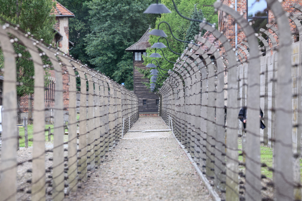 Narodowy Dzień Pamięci Ofiar Niemieckich Nazistowskich Obozów Koncentracyjnych i Obozów Zagłady – 14 czerwca 2026. Fot. Sławek Kasper (IPN)
