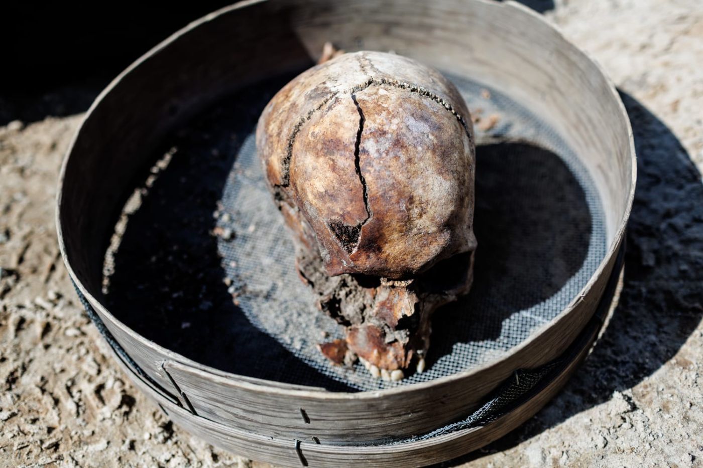 Prace archeologiczne nad jeziorem Borówno. Fot. Daniel Frymark
