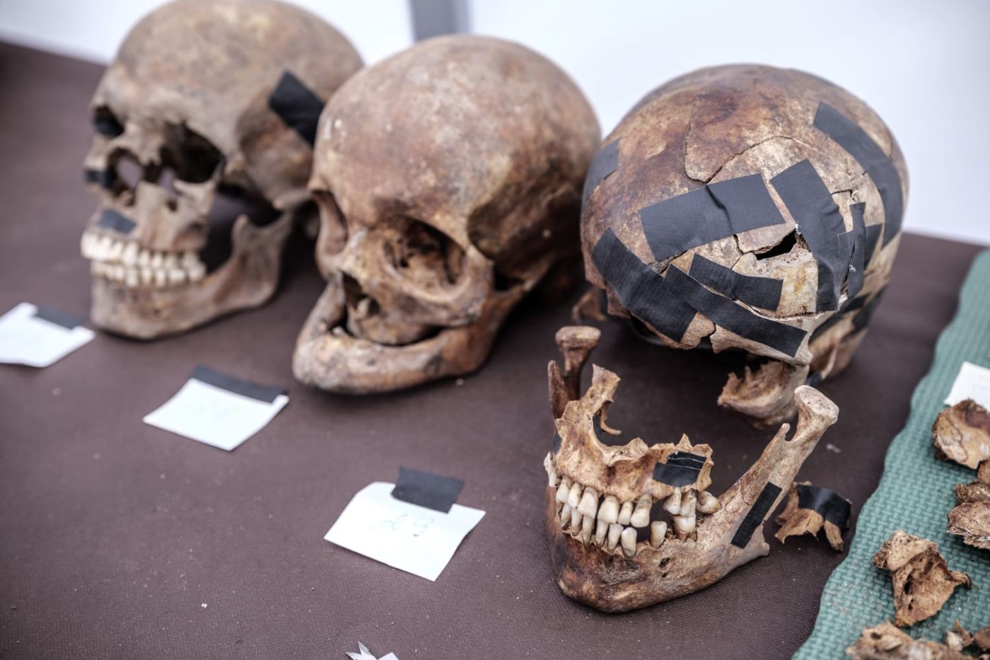 Prace archeologiczne nad jeziorem Borówno. Fot. Daniel Frymark