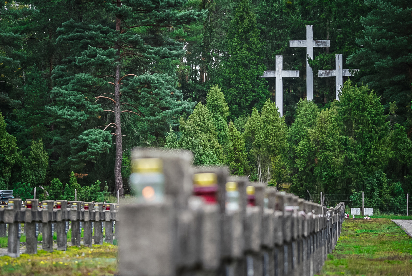 Upamiętniliśmy ofiary egzekucji w Puszczy Kampinoskiej – Palmiry, 14 września 2026. Fot. Mateusz Niegowski (IPN)