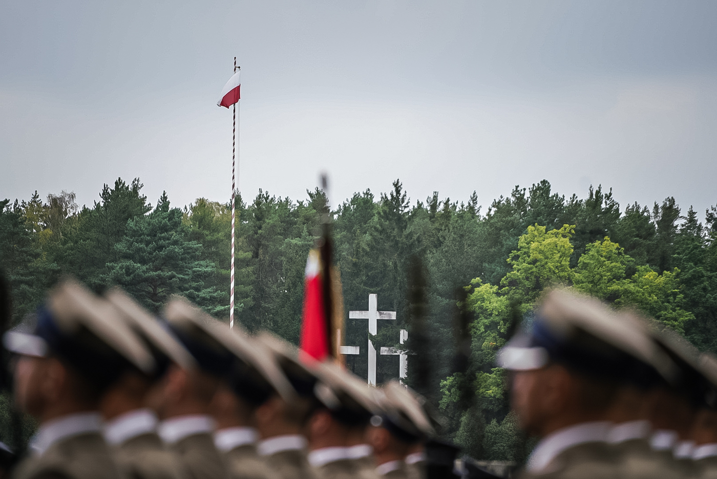 Upamiętniliśmy ofiary egzekucji w Puszczy Kampinoskiej – Palmiry, 14 września 2026. Fot. Mateusz Niegowski (IPN)