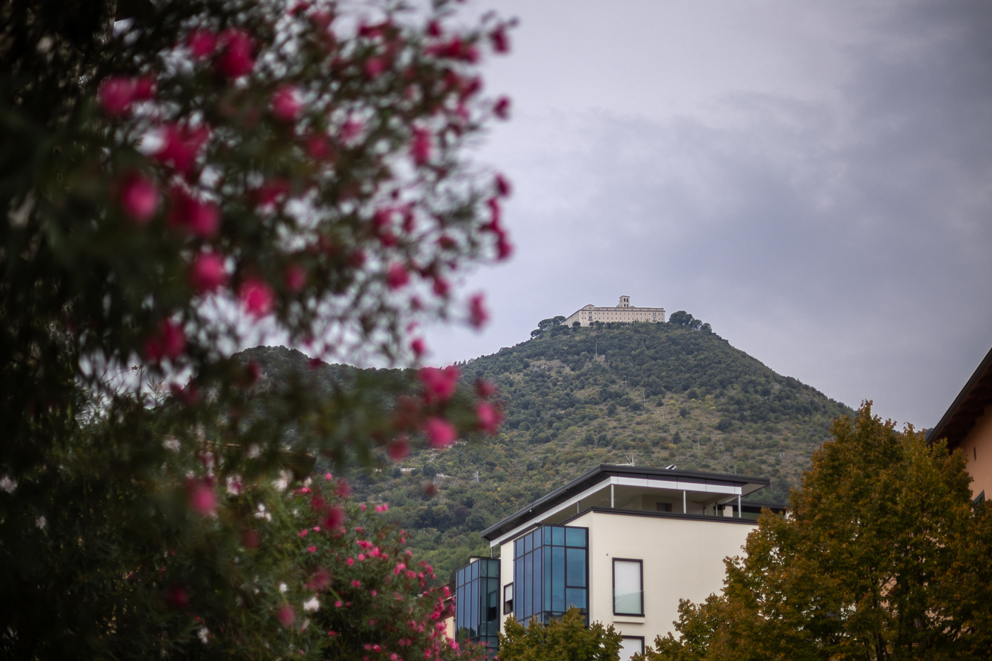 III Światowy Zlot Młodzieży Polskiej na Monte Cassino – 6–7 października 2026. Fot. Sławek Kasper (IPN)