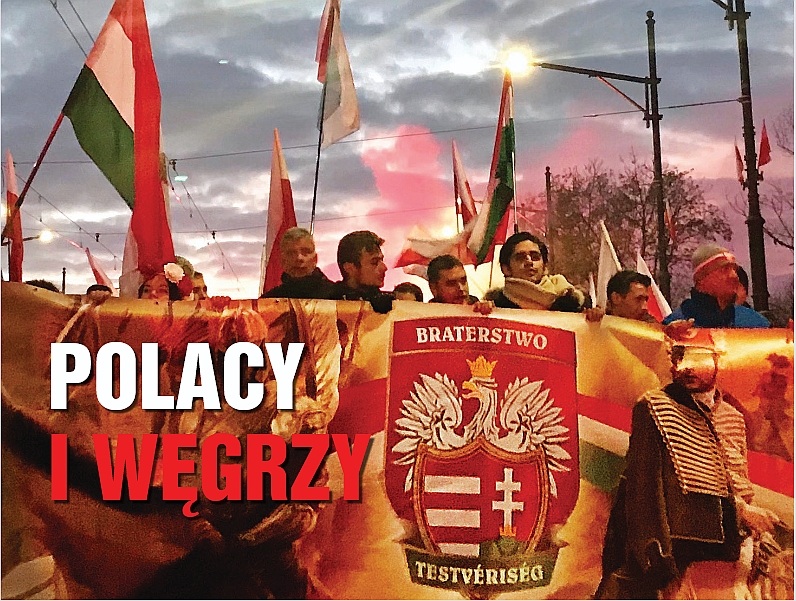 Węgrzy na Marszu Niepodległości, Warszawa, 2019 r. Fragment okładki „Biuletynu IPN” nr 12/2019. Fot. Antoni Butkiewicz