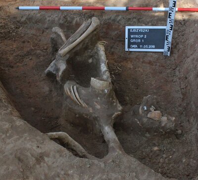 Prace poszukiwawcze i ekshumacje prowadzone przez Biuro Poszukiwań i Identyfikacji IPN na terenie Wileńszczyzny. Fot. BPiI IPN