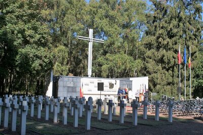 Widok ogólny polskiego cmentarza wojennego w Lommel (fot. A. Siwek, BUWiM IPN)