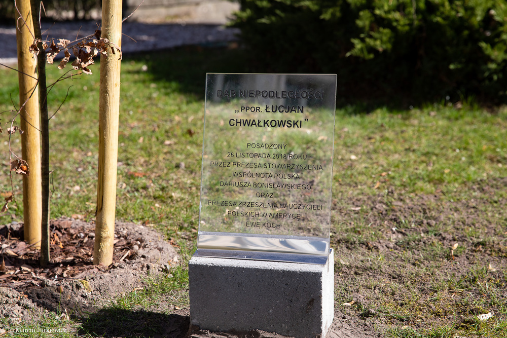 Odsłonięcie tabliczek z imionami Dębów Niepodległości przy siedzibie Wspólnoty Polskiej – Warszawa, 2 kwietnia 2019. Fot. Marcin Jurkiewicz (IPN)