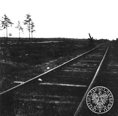 Widok na bocznicę kolejową obozu zagłady w Treblince, 7 listopada 1945 r. Fot. AIPN