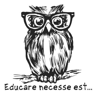 logo konferencji „Educare necesse est...”