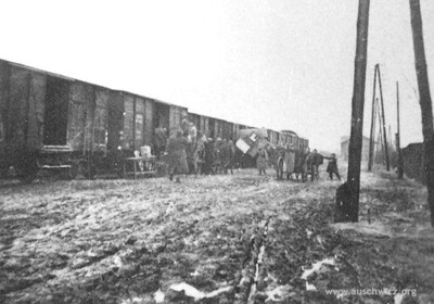 Deportacja Żydów oświęcimskich w wagonach towarowych (źródło: www.auschwitz.org)