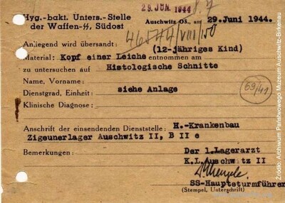 Zlecenie wystawione przez dr. Mengelego na przeprowadzenie w Instytucie Higieny SS badania histologicznego „głowy ze zwłok dwunastoletniego dziecka”, dostarczonej ze szpitala w obozie cygańskim BIIe w KL Auschwitz II (Źródło: Archiwum PMA-B)
