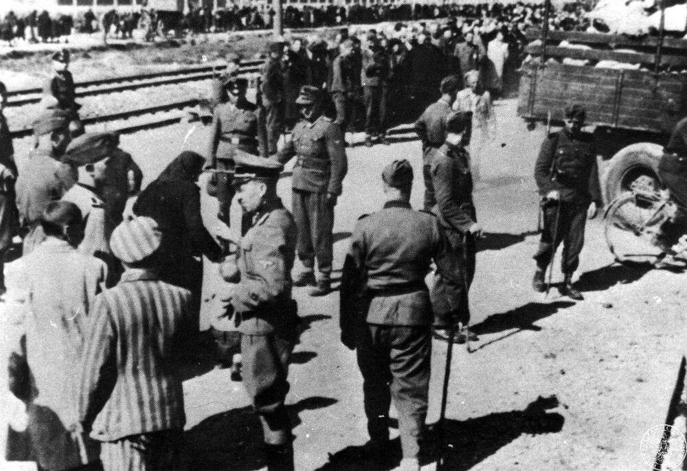 Selekcja przybyłego transportu więźniów do obozu w Birkenau (KL Auschwitz II)_GK-9-1-42-33
