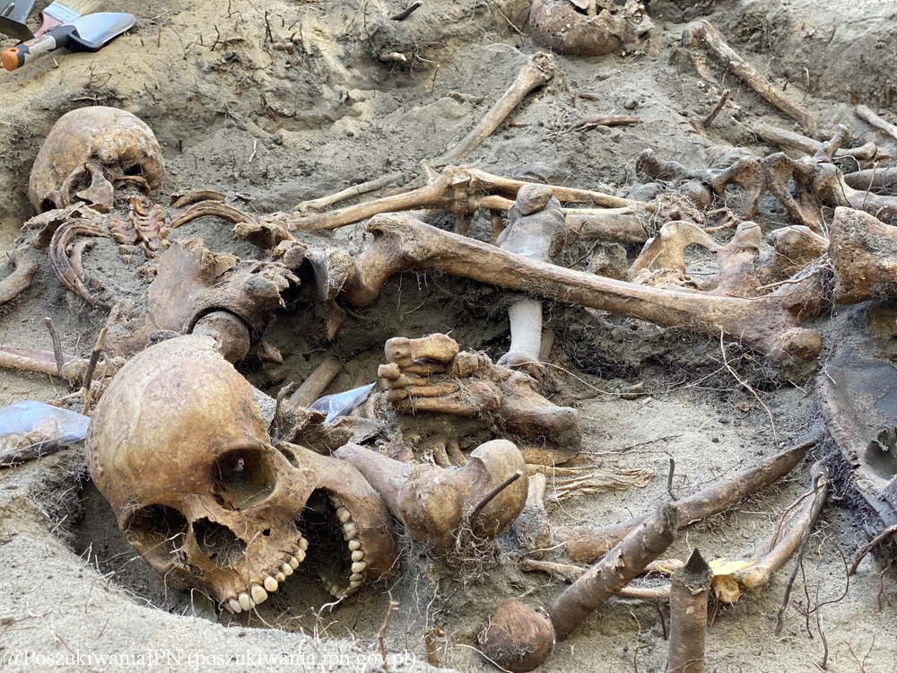 Prace poszukiwawcze na terenie dawnego Więzienia Karno-Śledczego Warszawa III „Toledo” (dziś ul. Namysłowska, Praga-Północ, Warszawa) w 2020 roku. Fot. IPN