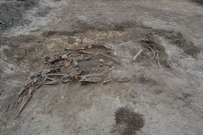 Wola Ostrowiecka, ocalały tylko te kości, których nie dosięgły pługi orzące to kołchozowe pole przez ponad 40 lat (2011)