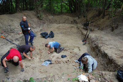 Prace ekshumacyjne w Gaju, „strzelnica”