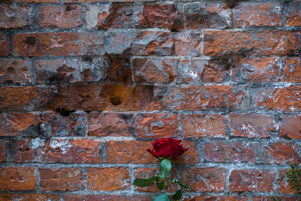 Obchody 74. rocznicy śmierci rtm. Witolda Pileckiego na Rakowieckiej – Warszawa, 25 maja 2022. Fot. Sławek Kasper (IPN)