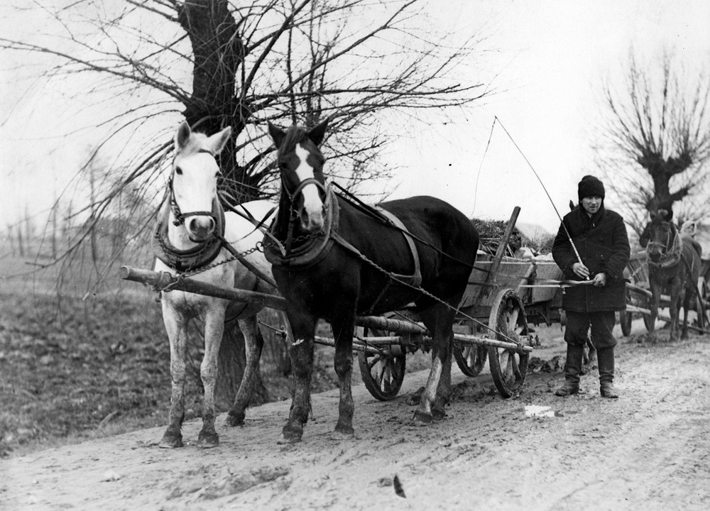 Wóz chłopski na wiejskiej drodze, 1934 r. Fot. ze zbiorów Narodowego Archiwum Cyfrowego