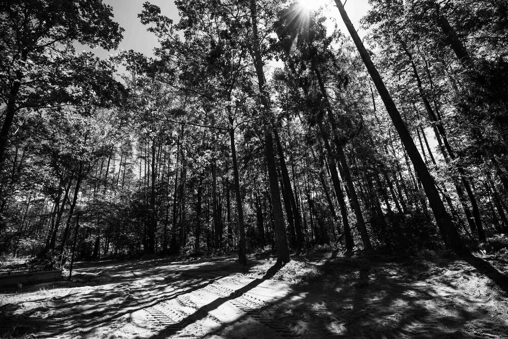 Miejsce odkrycia grobu kilku tysięcy więźniów niemieckiego obozu w Działdowie. Fot. Mikołaj Bujak (IPN)