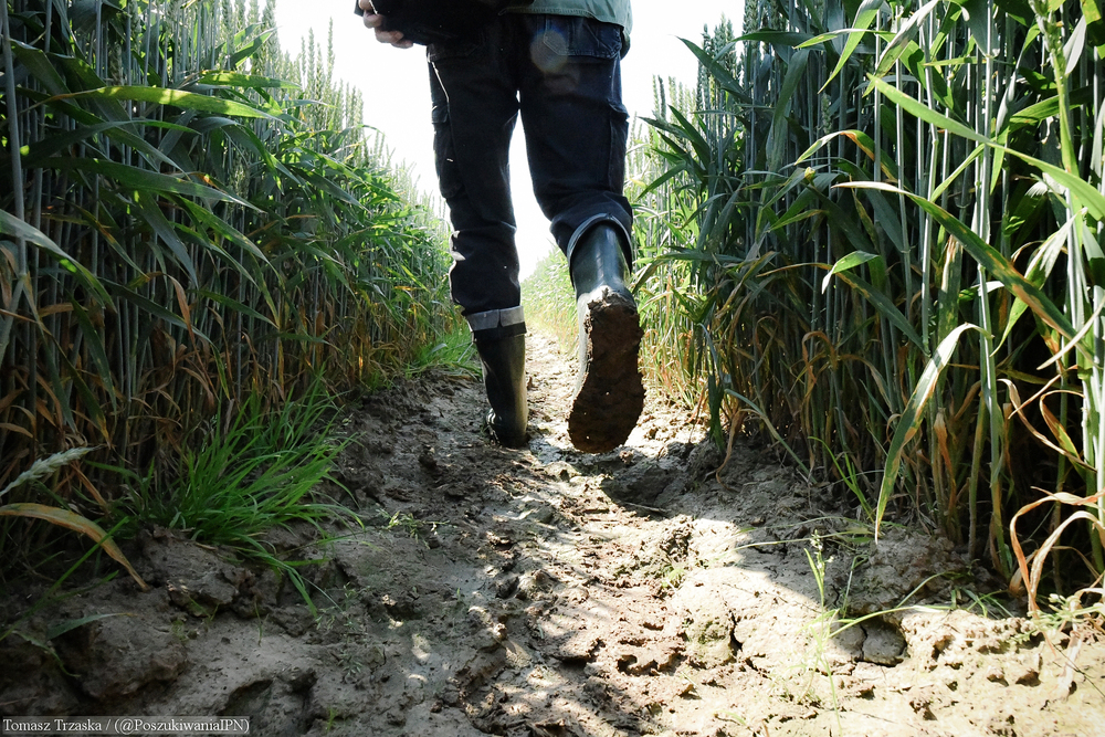 Podsumowanie prac poszukiwawczych na Litwie. Lipiec 2022. Fot. ks. Tomasz Trzaska IPN)
